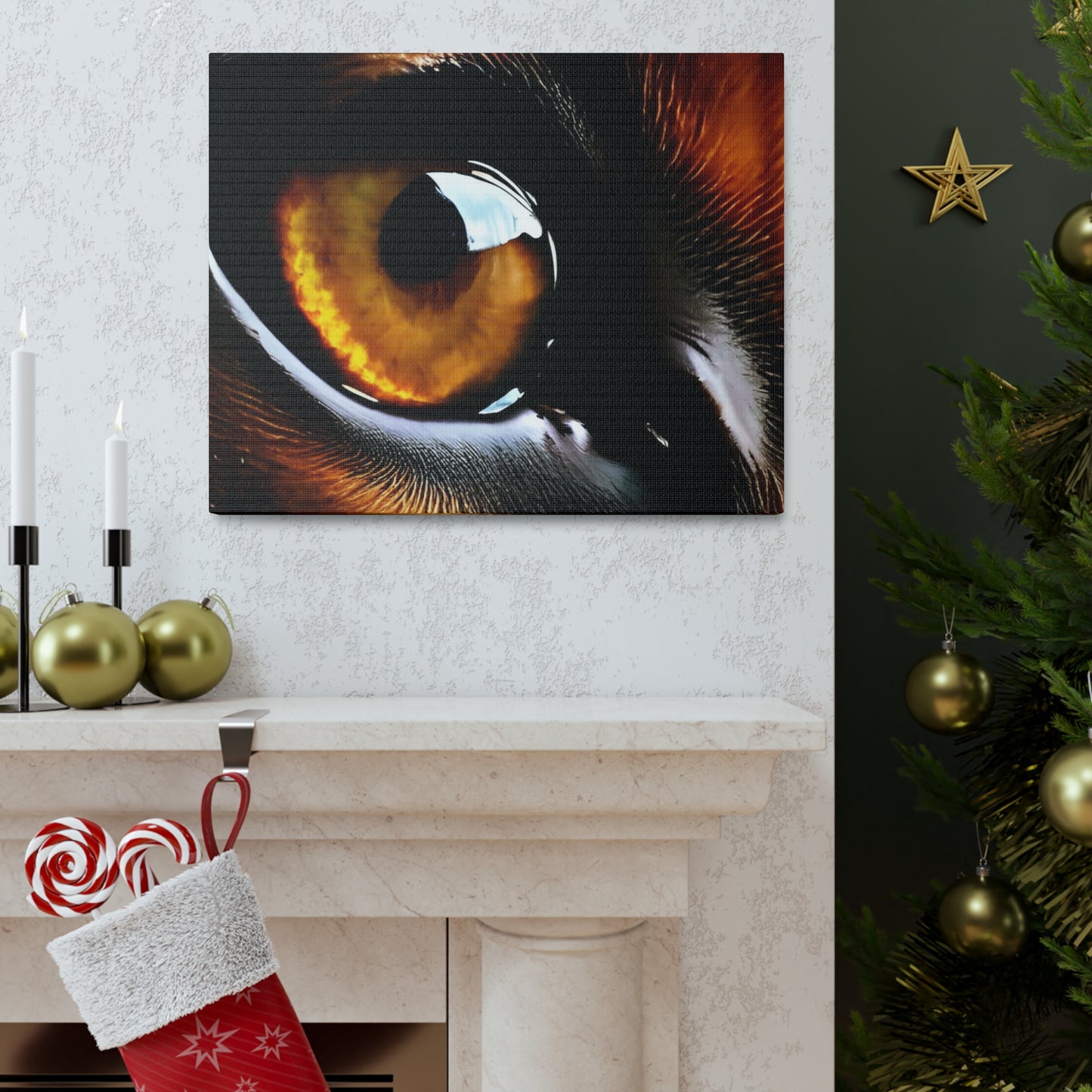 Eye 1 Canvas Gallery Wraps