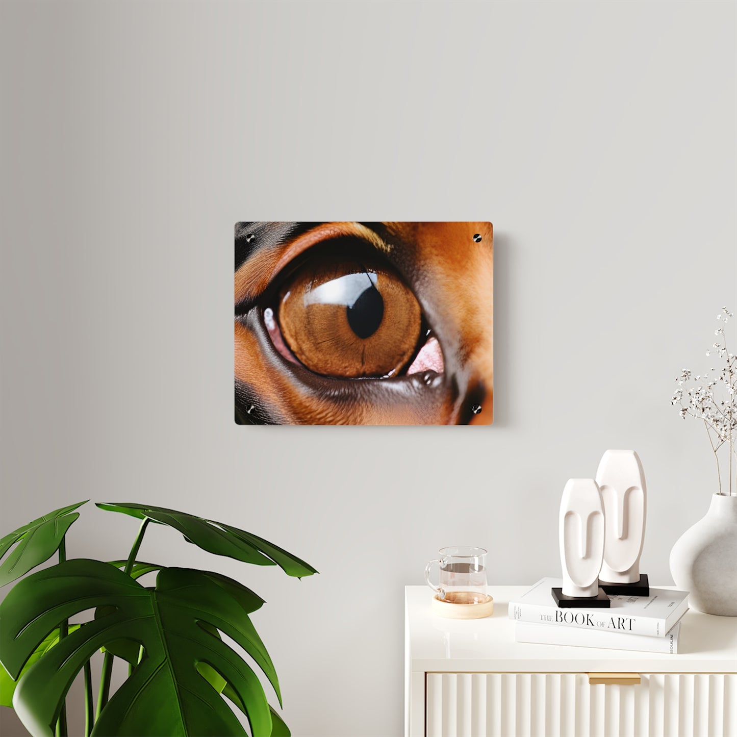 Eye 1 Acrylic Wall Art Panels