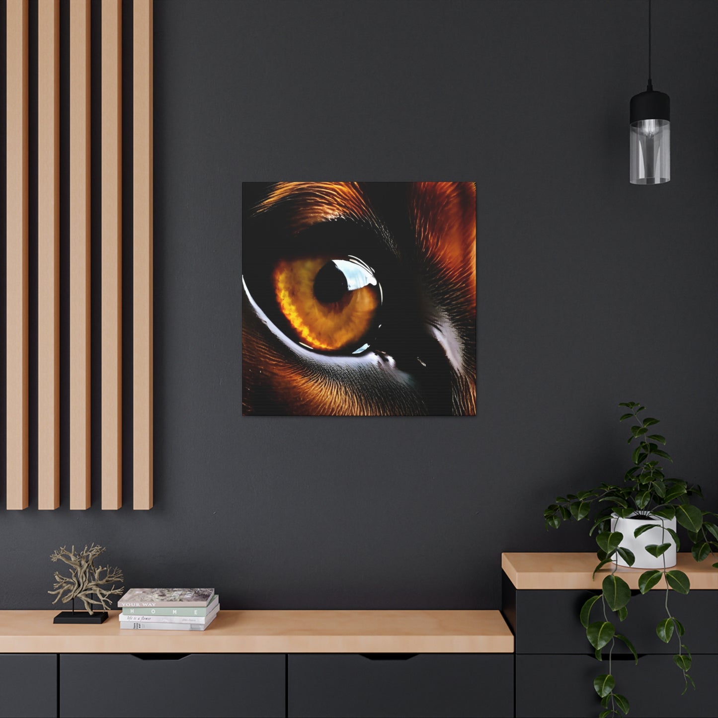 Eye 1 Canvas Gallery Wraps