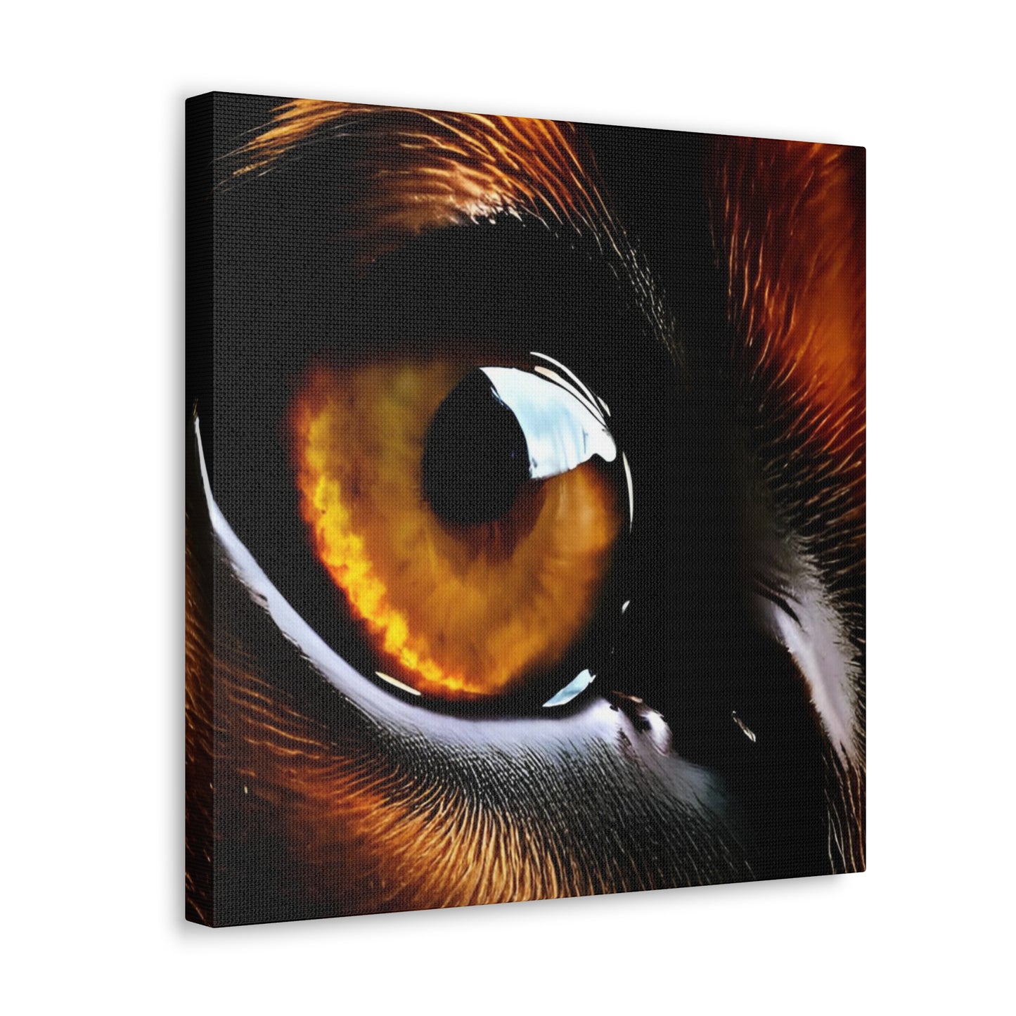 Eye 1 Canvas Gallery Wraps