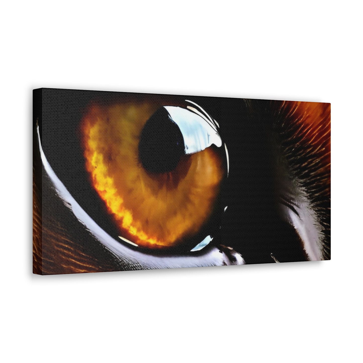 Eye 1 Canvas Gallery Wraps