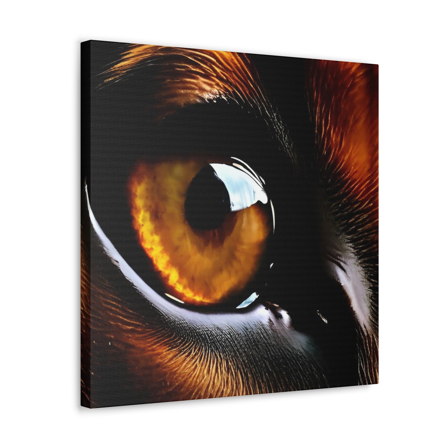 Eye 1 Canvas Gallery Wraps