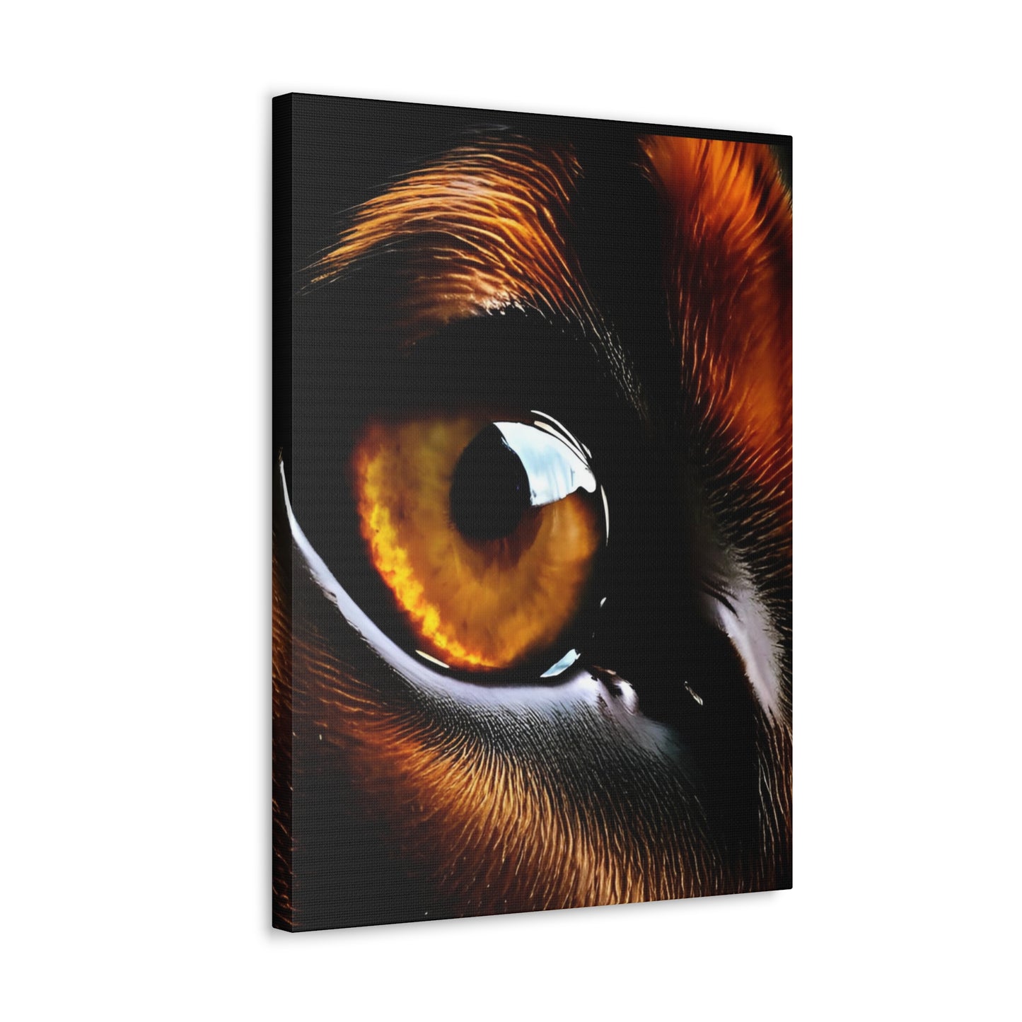 Eye 1 Canvas Gallery Wraps