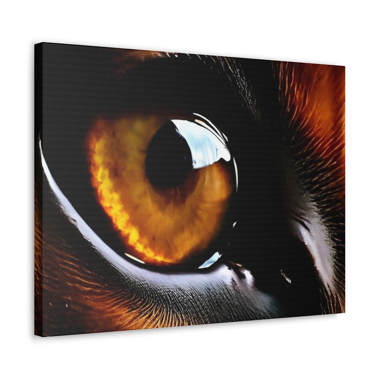 Eye 1 Canvas Gallery Wraps