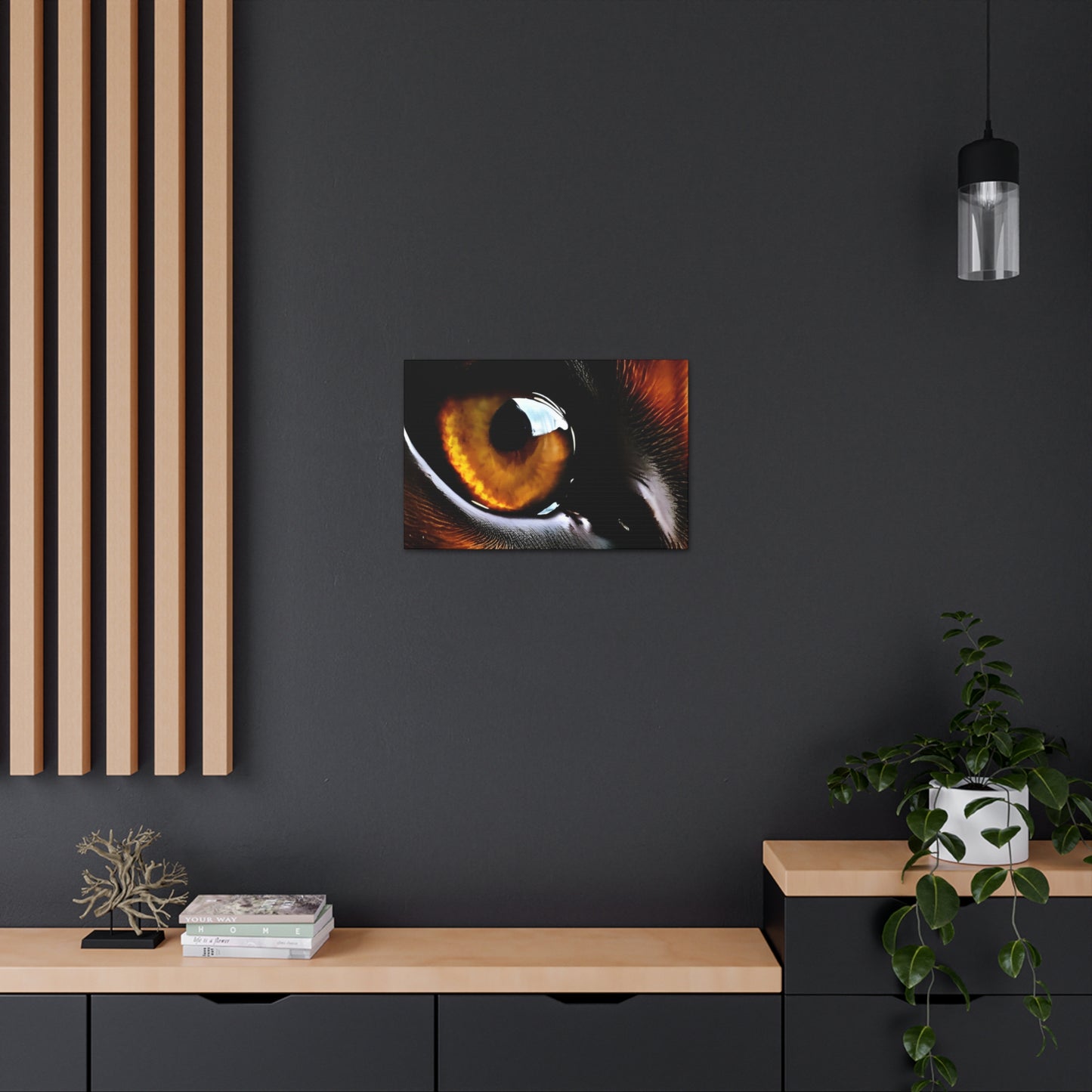 Eye 1 Canvas Gallery Wraps