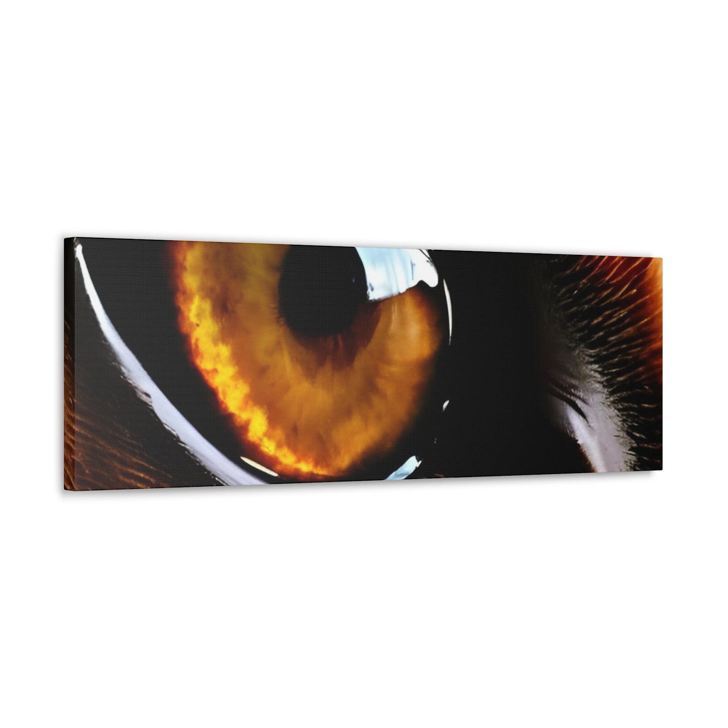 Eye 1 Canvas Gallery Wraps