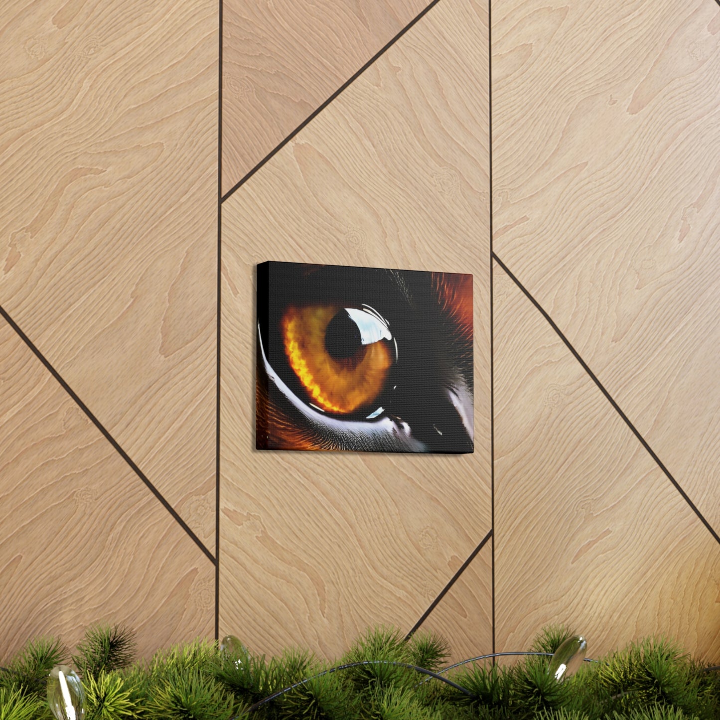 Eye 1 Canvas Gallery Wraps