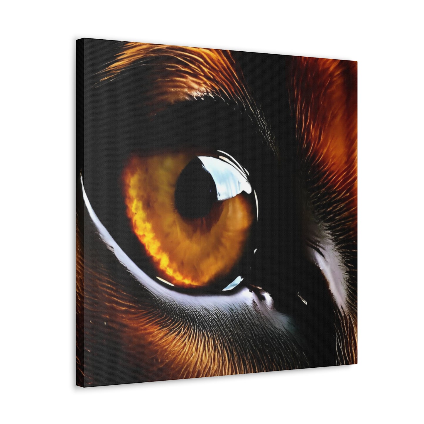 Eye 1 Canvas Gallery Wraps