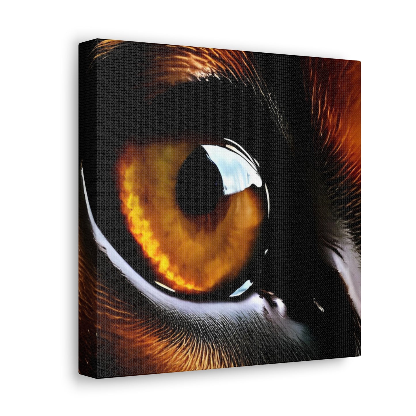 Eye 1 Canvas Gallery Wraps