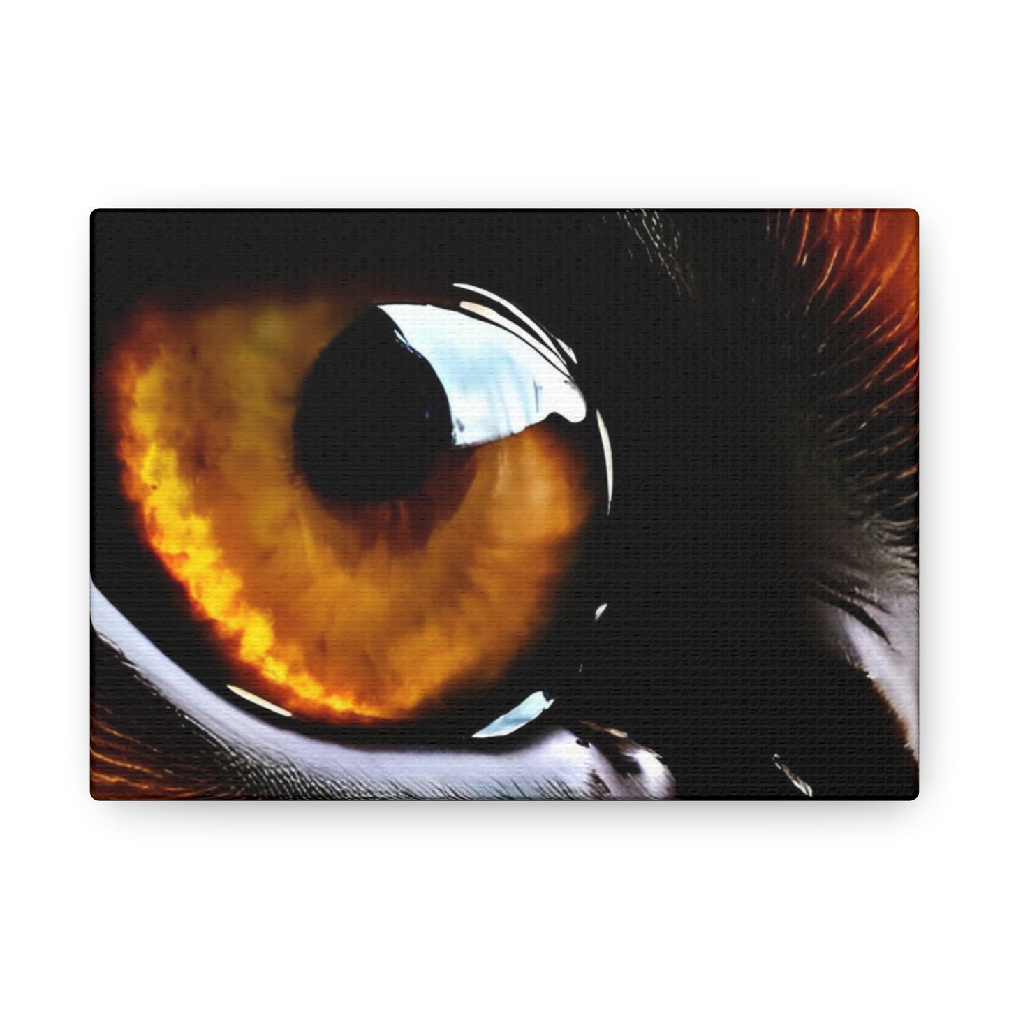 Eye 1 Canvas Gallery Wraps