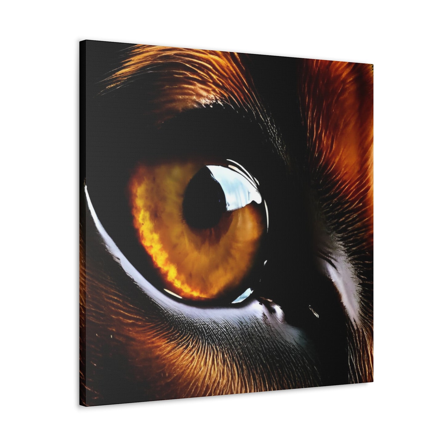 Eye 1 Canvas Gallery Wraps