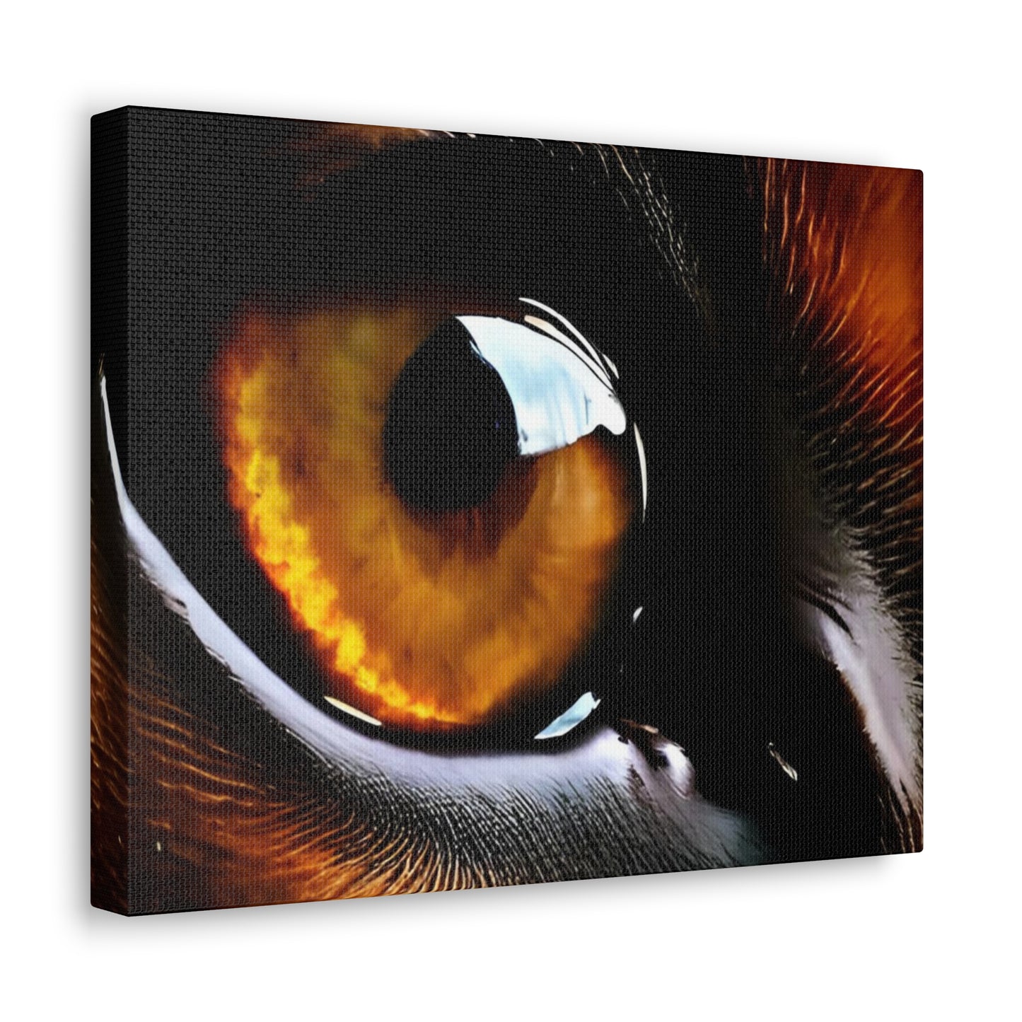 Eye 1 Canvas Gallery Wraps