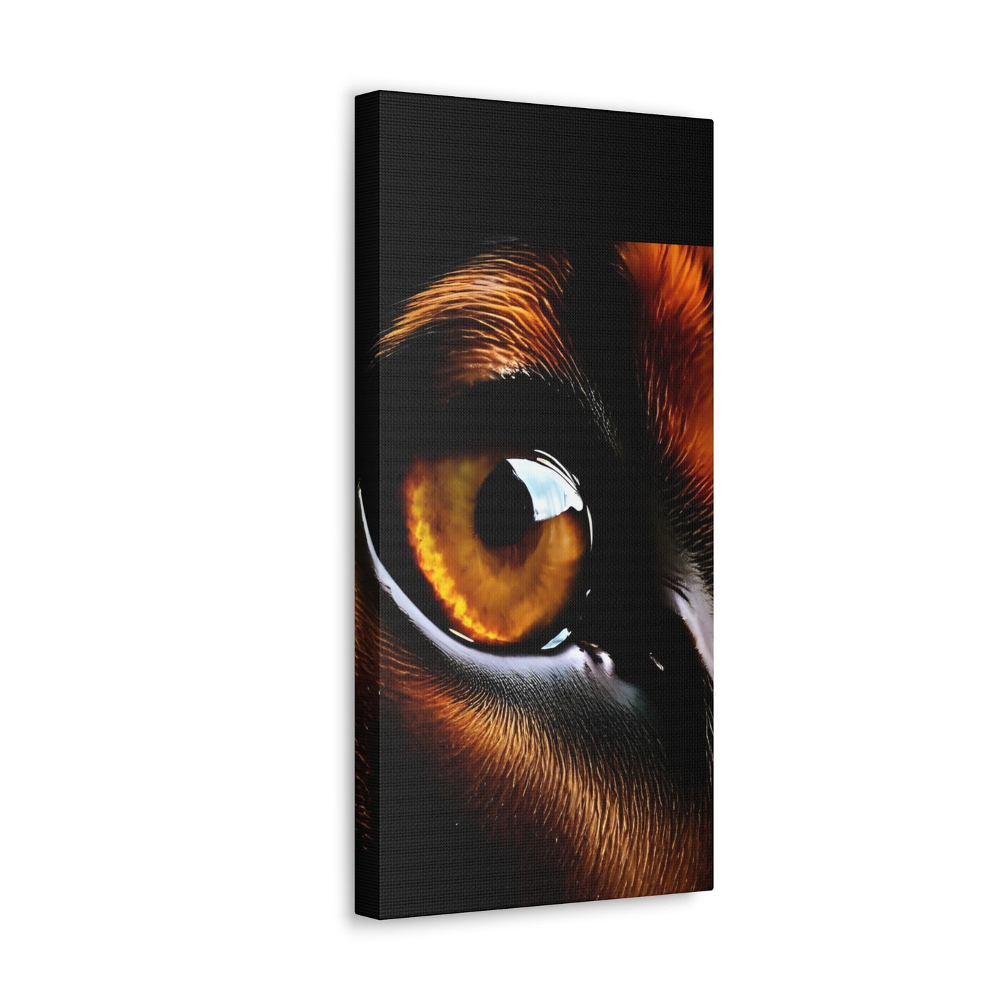 Eye 1 Canvas Gallery Wraps