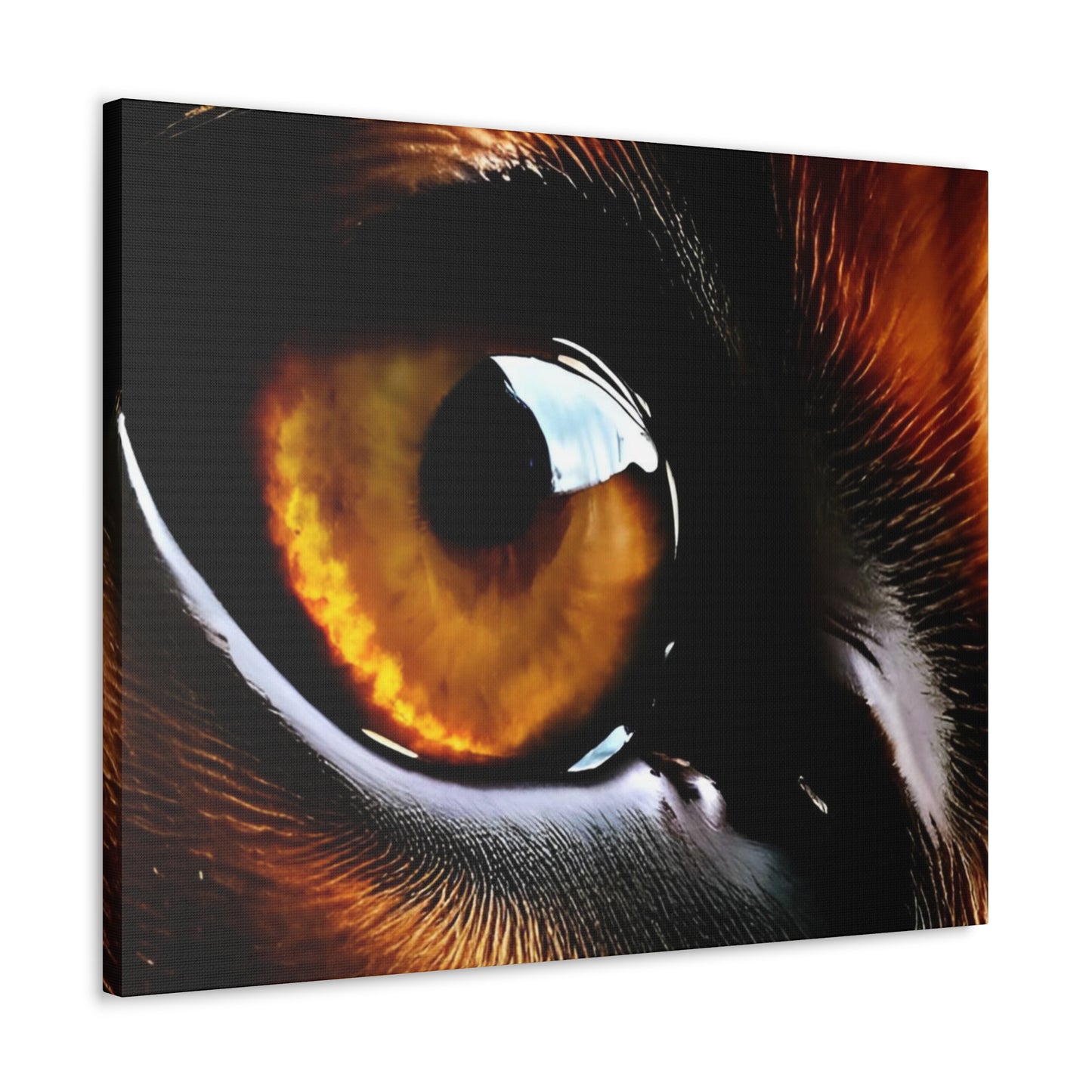 Eye 1 Canvas Gallery Wraps