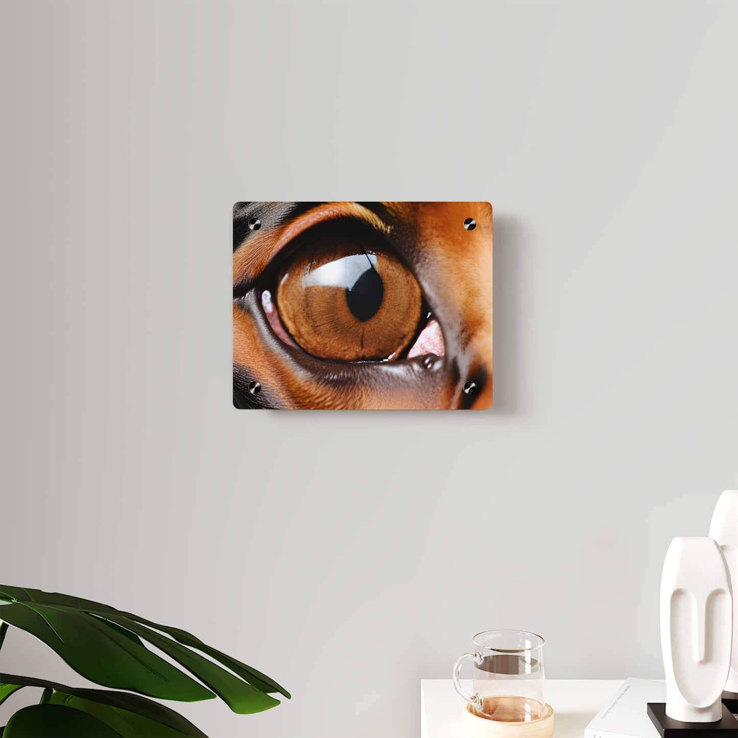 Eye 1 Acrylic Wall Art Panels