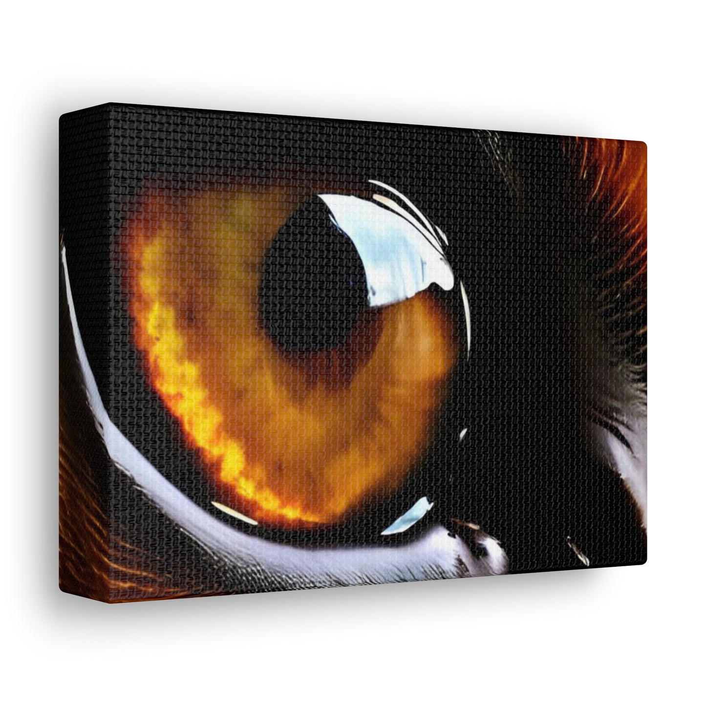 Eye 1 Canvas Gallery Wraps