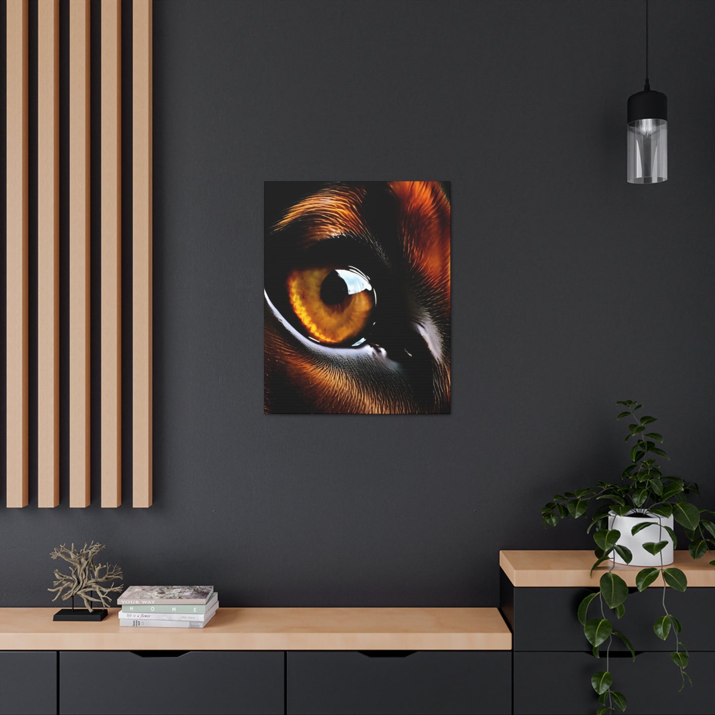 Eye 1 Canvas Gallery Wraps