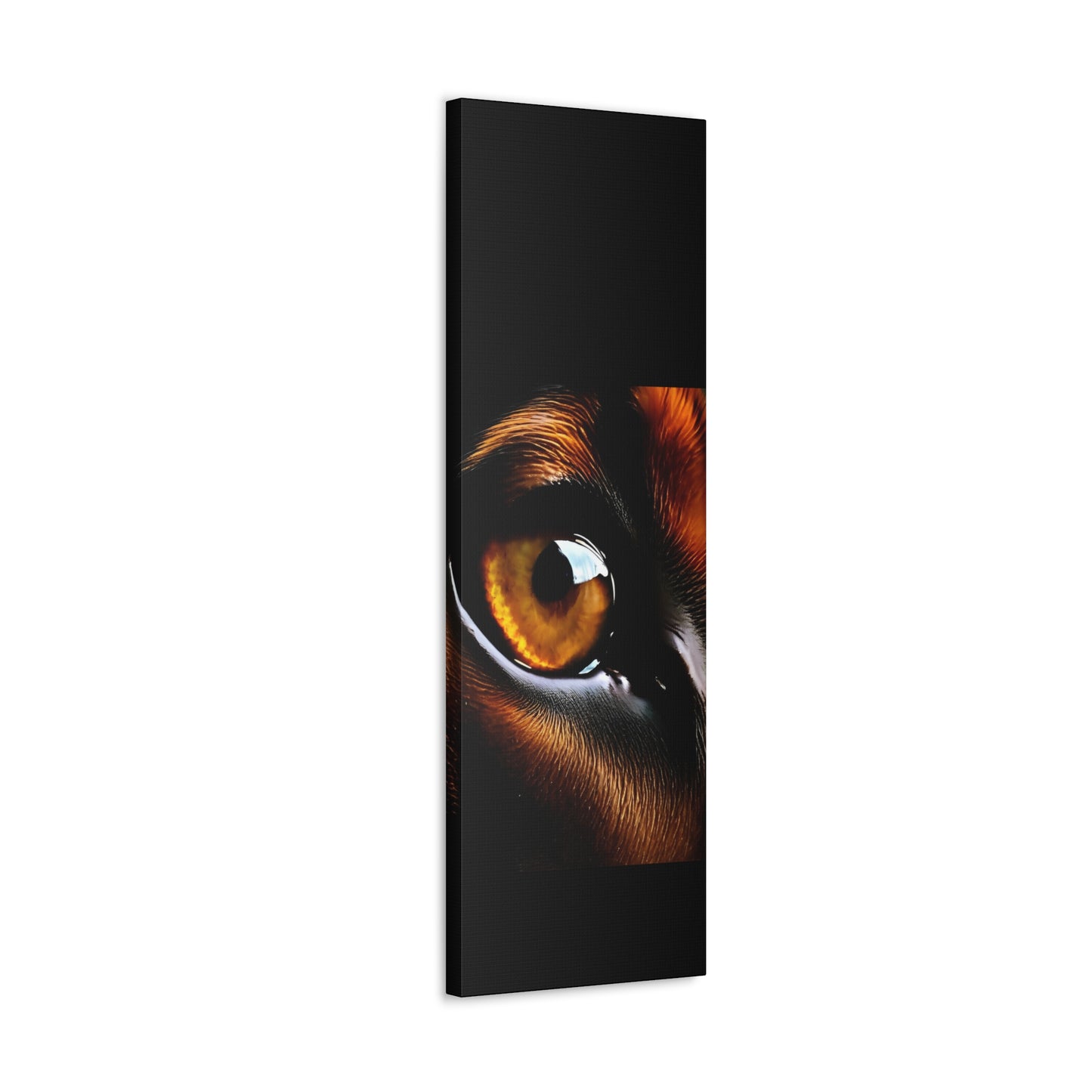 Eye 1 Canvas Gallery Wraps