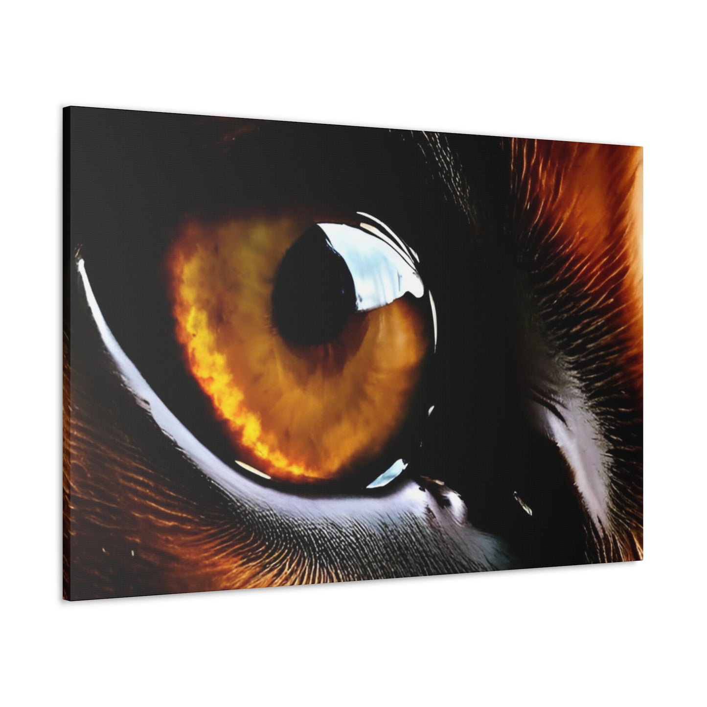 Eye 1 Canvas Gallery Wraps