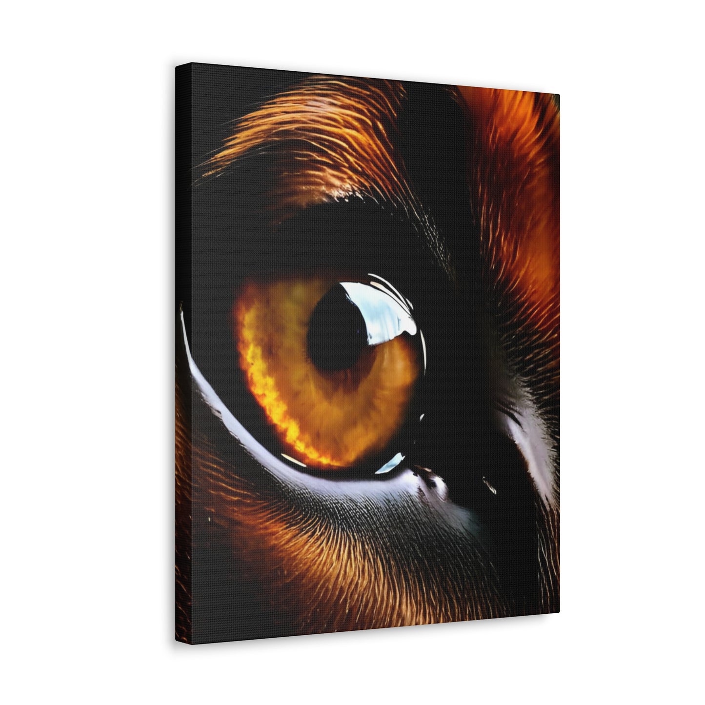 Eye 1 Canvas Gallery Wraps