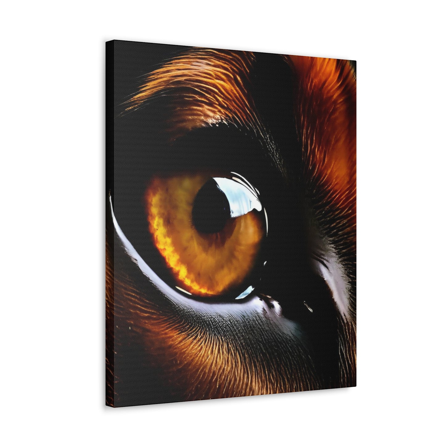 Eye 1 Canvas Gallery Wraps