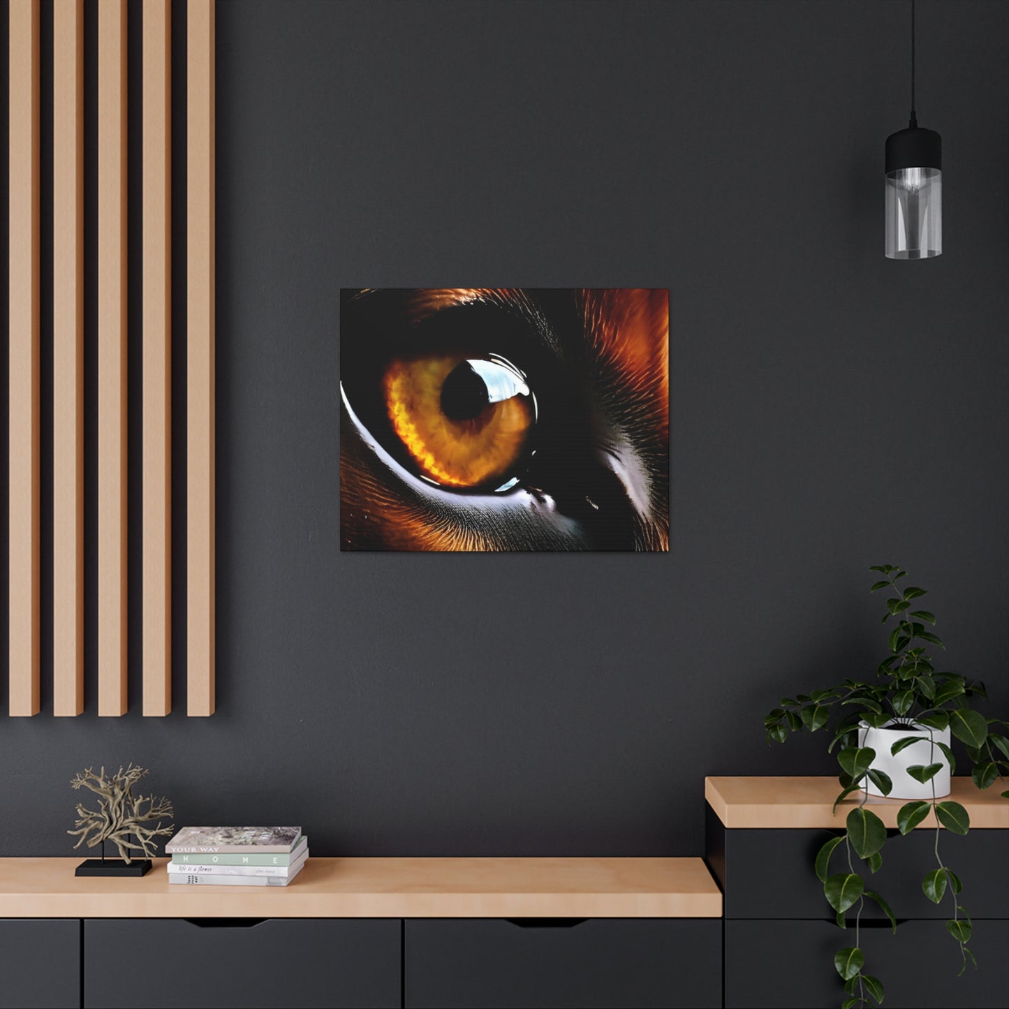 Eye 1 Canvas Gallery Wraps