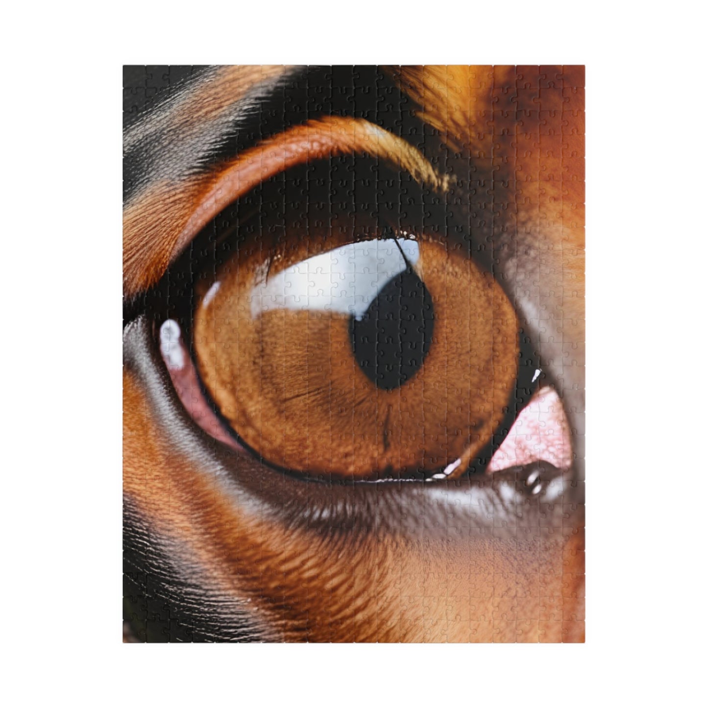 Eye 1 Doberman Dreams Jigsaw Puzzle Collection (110, 252, 520, 1014-piece)