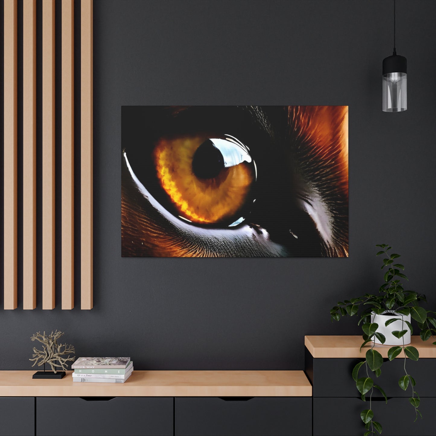 Eye 1 Canvas Gallery Wraps