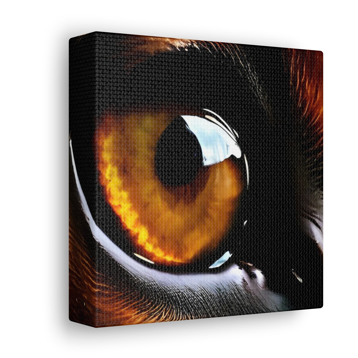 Eye 1 Canvas Gallery Wraps