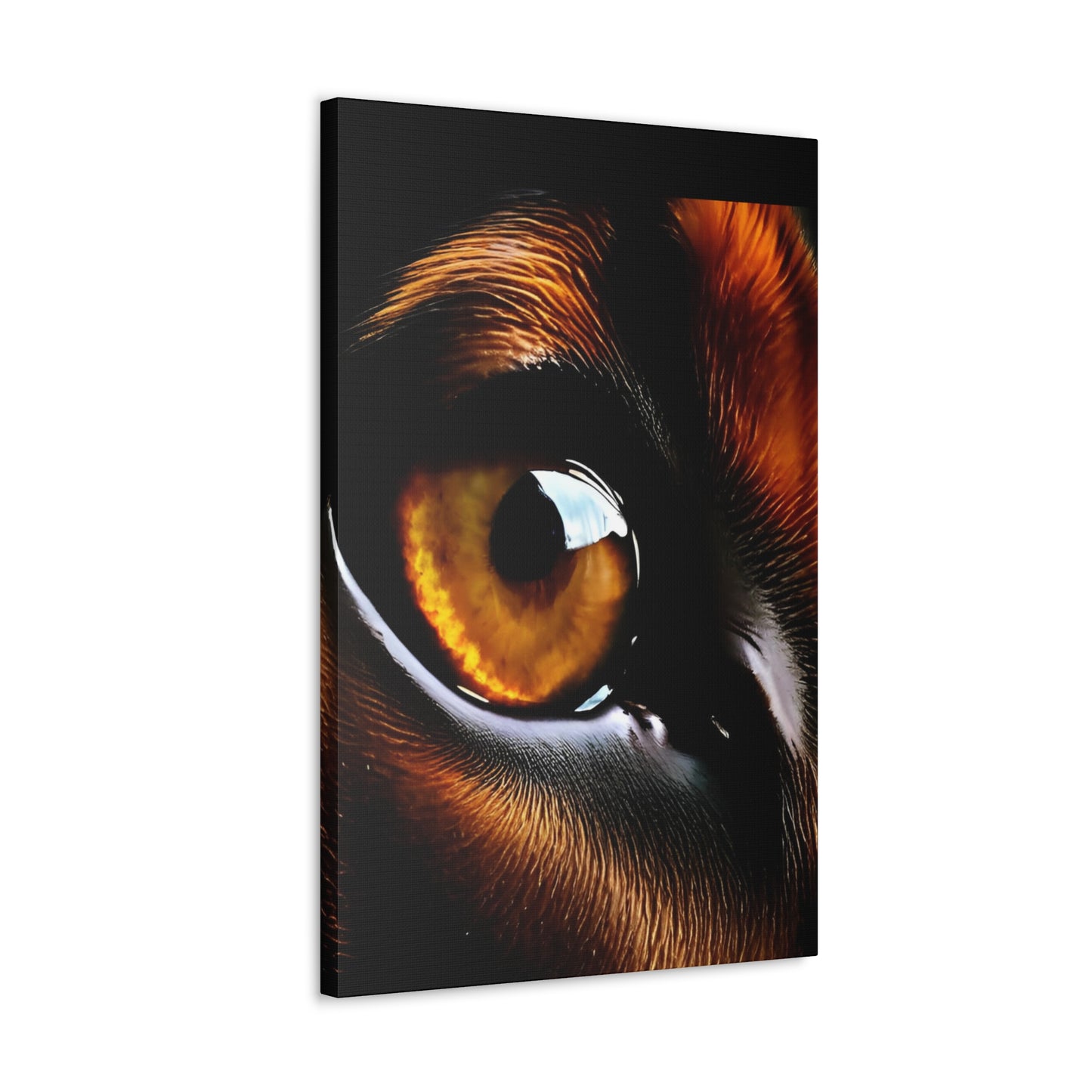 Eye 1 Canvas Gallery Wraps