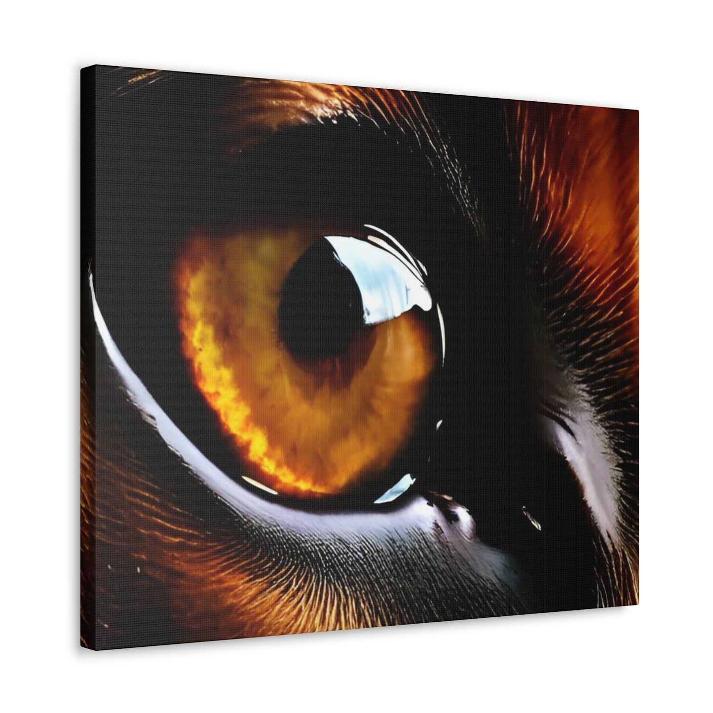 Eye 1 Canvas Gallery Wraps