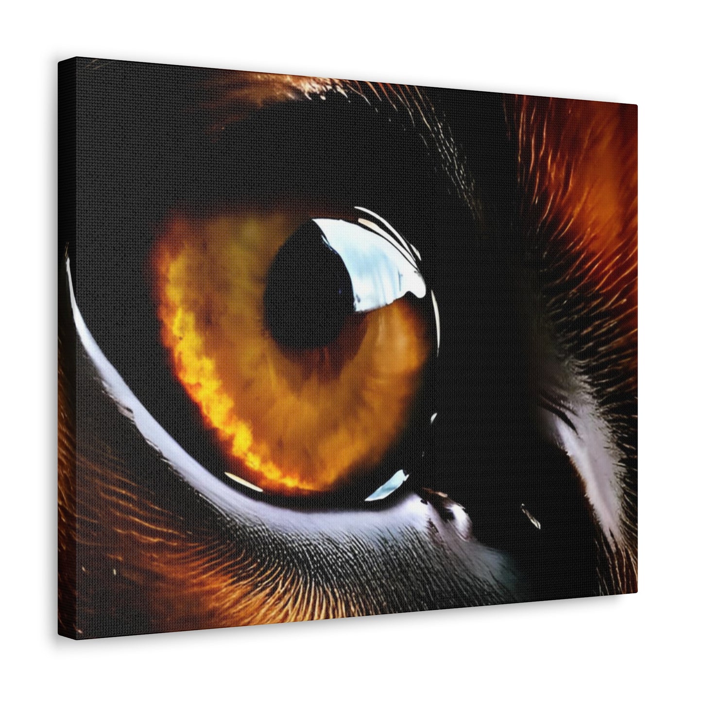 Eye 1 Canvas Gallery Wraps