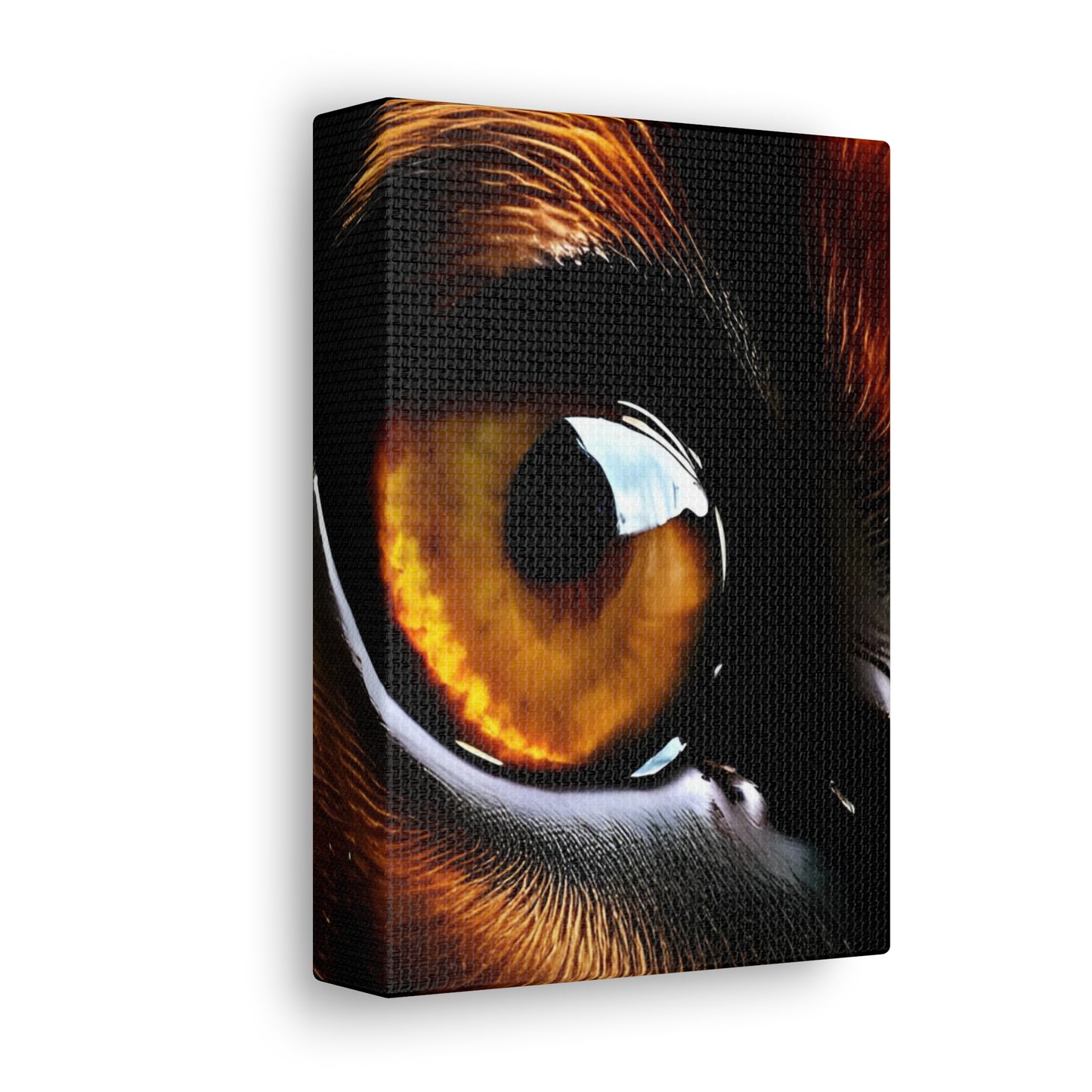 Eye 1 Canvas Gallery Wraps