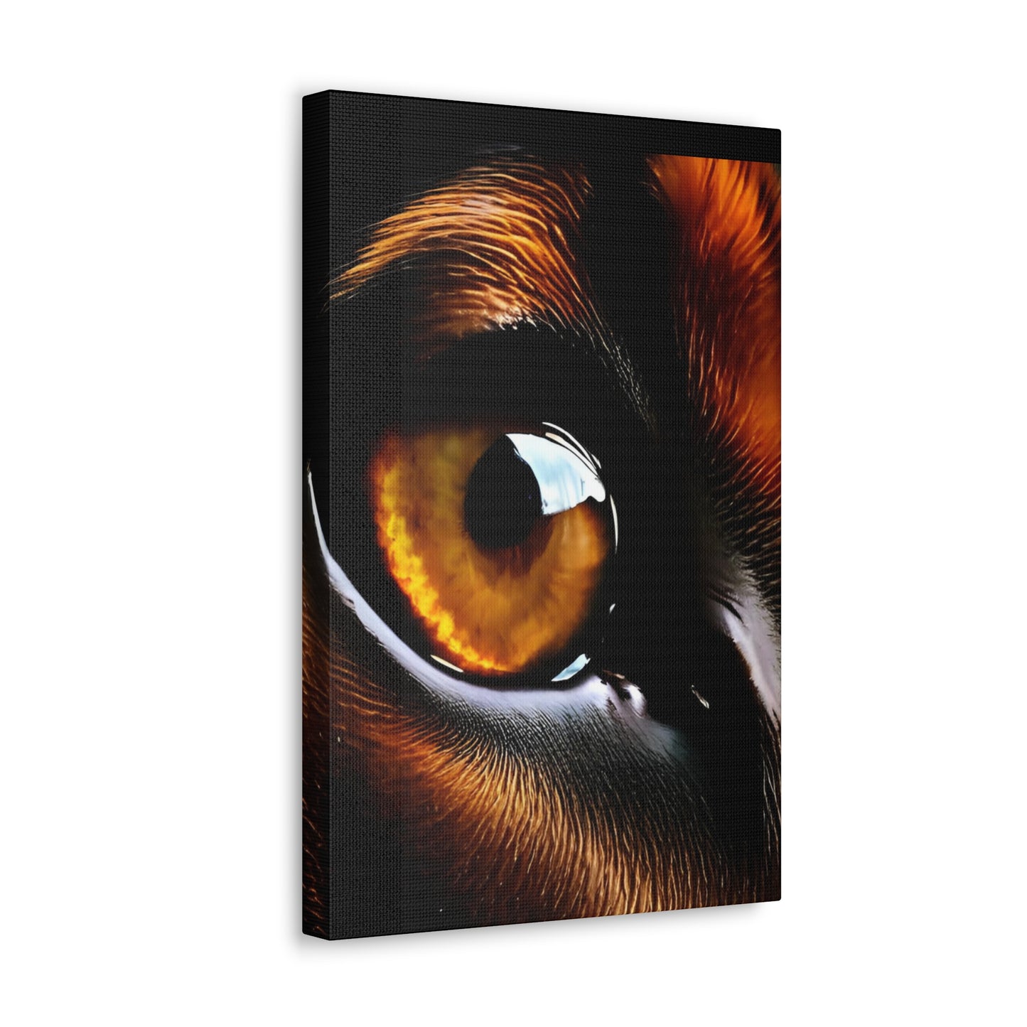 Eye 1 Canvas Gallery Wraps