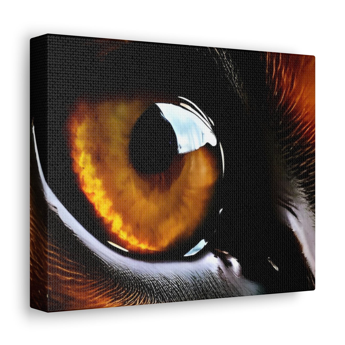 Eye 1 Canvas Gallery Wraps