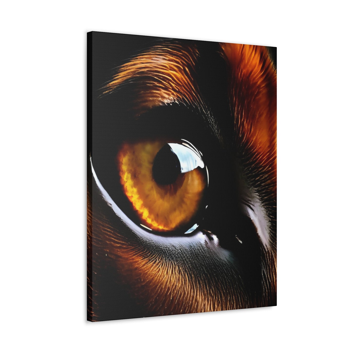 Eye 1 Canvas Gallery Wraps