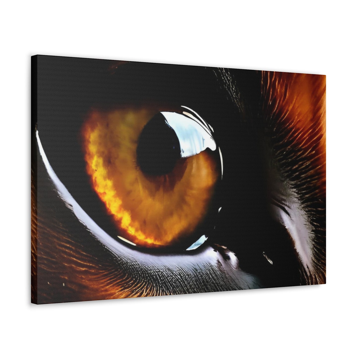 Eye 1 Canvas Gallery Wraps