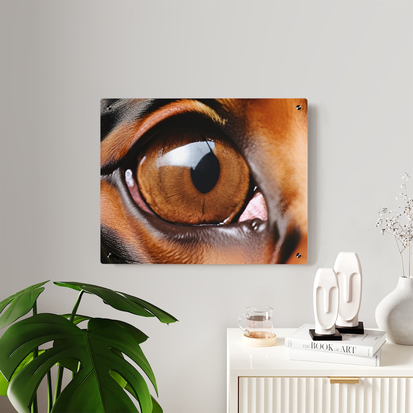 Eye 1 Acrylic Wall Art Panels