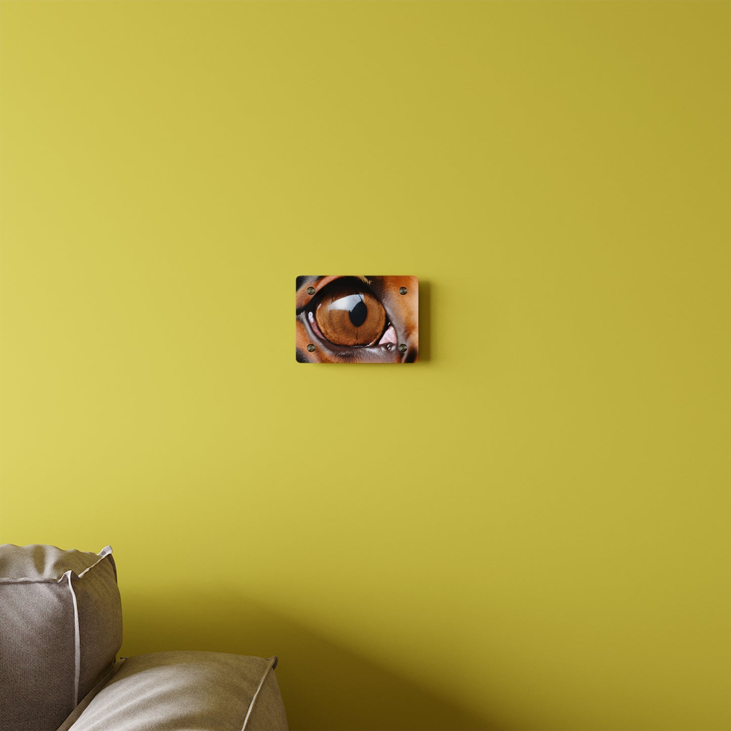 Eye 1 Acrylic Wall Art Panels