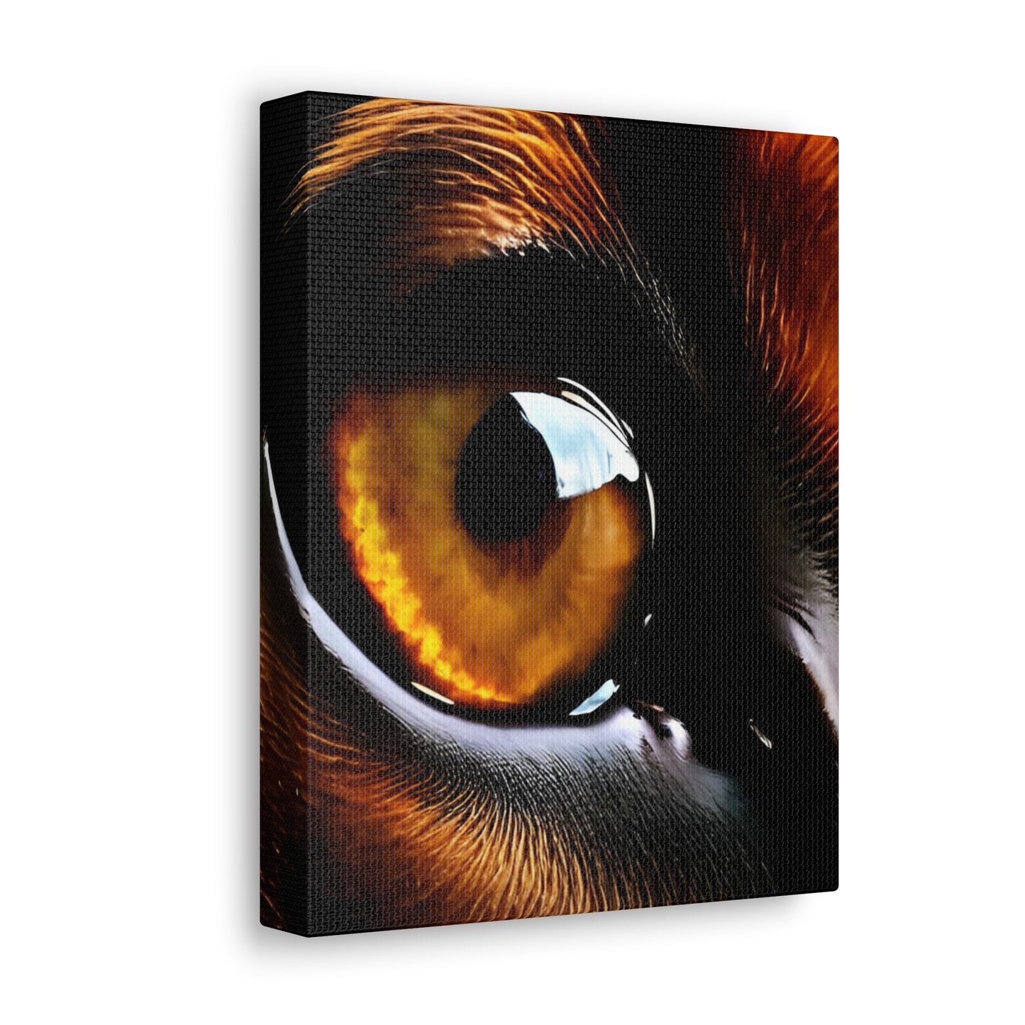 Eye 1 Canvas Gallery Wraps