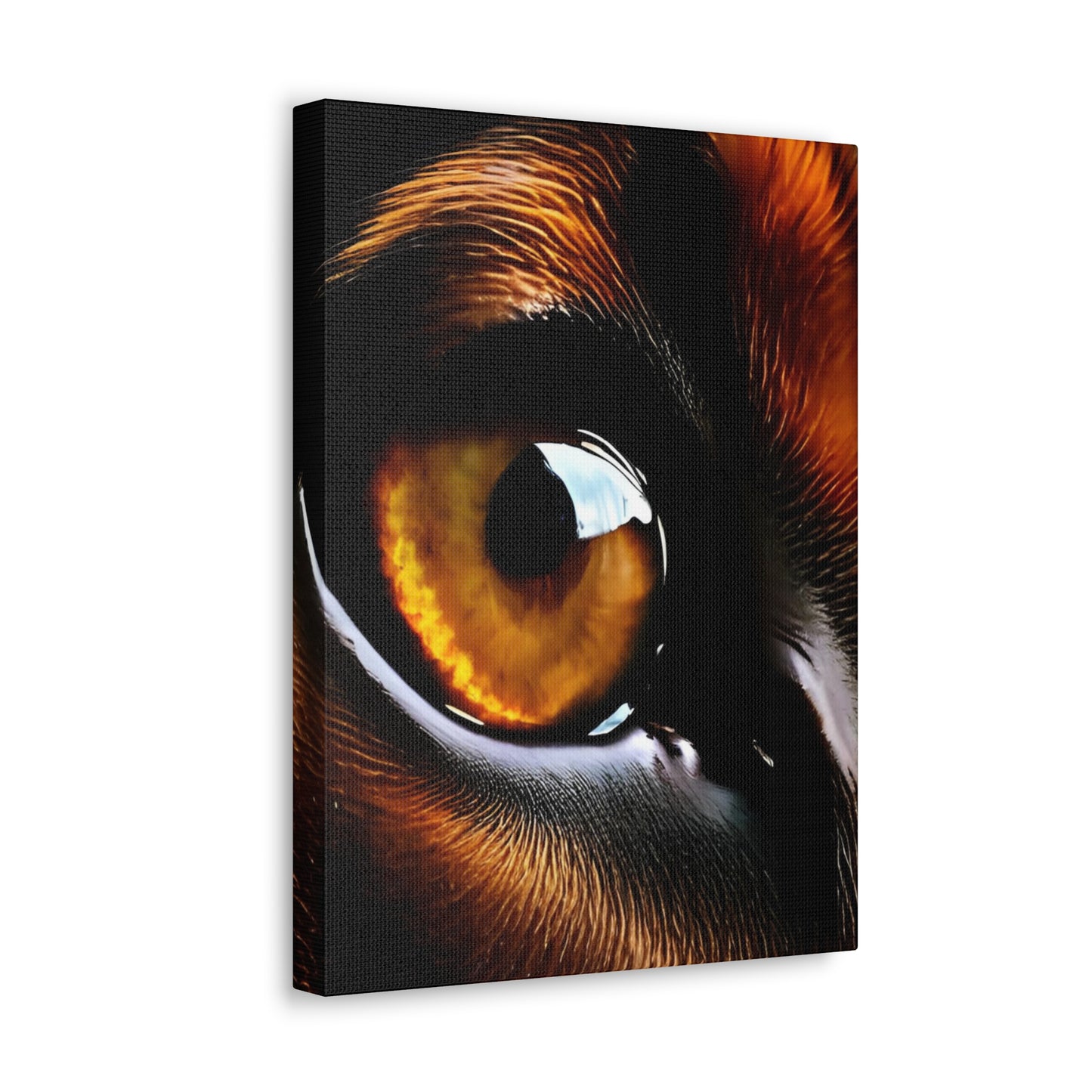 Eye 1 Canvas Gallery Wraps