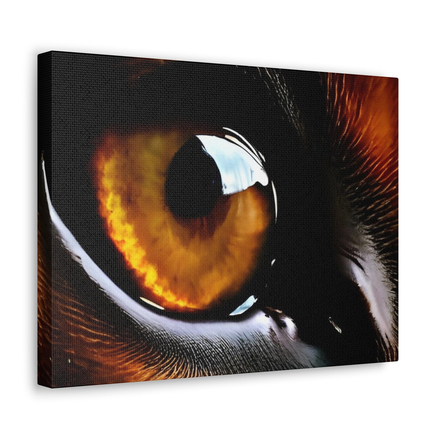 Eye 1 Canvas Gallery Wraps