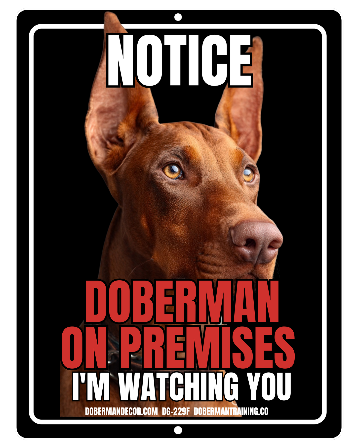 Doberman Sign DG229